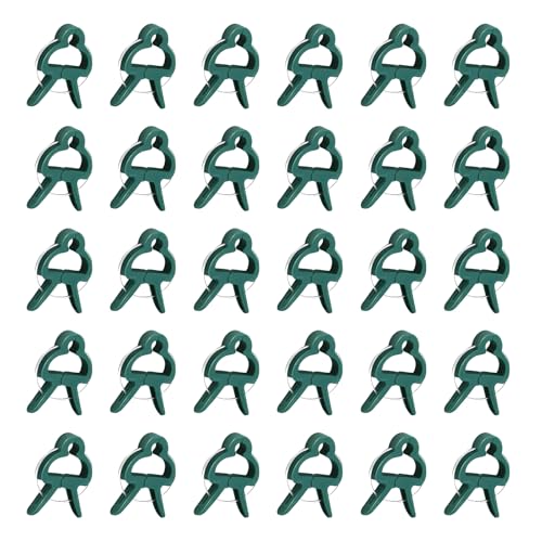 Wdbild 30 Prozent Gewächshaushalterung Pflanze Fixe Clips Für Feste Weinsämling Wiederverwendbarer Garten Tomaten Unterstützen Gartenkletterstütze Clips von Wdbild