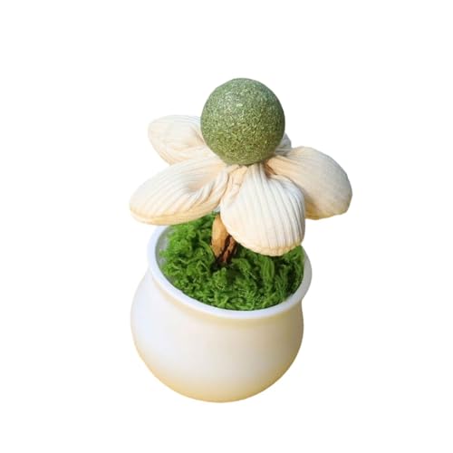 Wdbild Catnips Blumentöpfe Spielzeugkatzen Innenunterhaltung Und Zähne Putzen Mit Natürlicher Katzenpips Ball Für Kätzchen Die Lustige Katzen Verhaltensverbesserung Necken von Wdbild