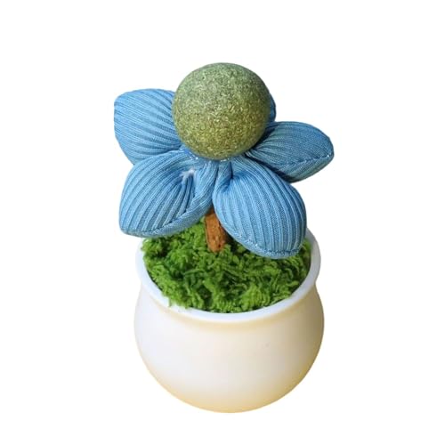 Wdbild Catnips Blumentöpfe Spielzeugkatzen Innenunterhaltung Und Zähne Putzen Mit Natürlicher Katzenpips Ball Für Kätzchen Die Lustige Katzen Verhaltensverbesserung Necken von Wdbild