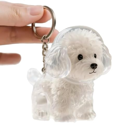 Wdbild Clear Pet Memorial Schmuck Schlüsselketten Plastikhaarhalter Hund Fell Sammler Andenken Für Trauernde Hundebesitzer Geschenk Haarspeicher Schlüsselbund Charme von Wdbild