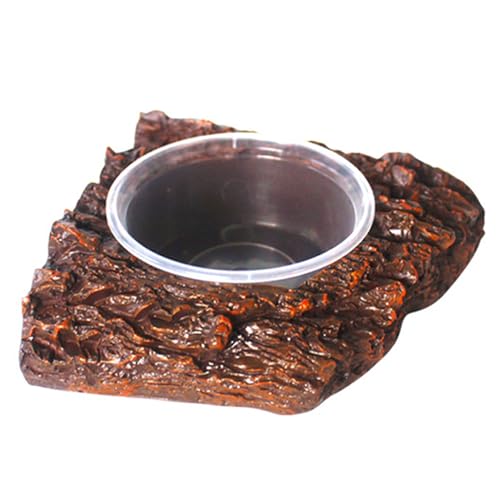 Wdbild Fütterungsschale Mit Schüssel Reptilien Harz Fütterung Schüssel Wasserschale Für Bärtige Drachen Terrarium Accessoires Hideaway Und Tablett von Wdbild