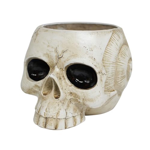 Wdbild Harzschädelförmige Kopfblumen Töpfe Pflanzgefäß Dekorationen Blumenpots Home Schreibtisch Blumen Sukkulenten Töpfe Pflanzenthusiasten Wdbild Harzschädelförmige Kopfblumen Töpfe Pflanzgefäß Dekorationen Blumenpots Home Schreibtisch Blumen Sukkulenten Töpfe Pflanzenthusiasten von Wdbild