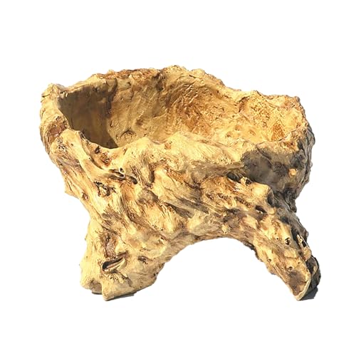 Wdbild Künstlerische Zementblumenpots Mit Baumwurzeldesigns Für Kreative Büro Heimdekoration Balkon Gartenflächen Schreibtisch Display Office Desk Pflanzer Pflanzer von Wdbild