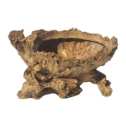 Wdbild Künstlerische Zementblumenpots Mit Baumwurzeldesigns Für Kreative Büro Heimdekoration Balkon Gartenflächen Schreibtisch Display Office Desk Pflanzer Pflanzer von Wdbild