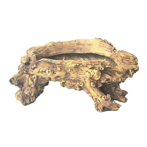 Wdbild Künstlerische Zementblumenpots Mit Baumwurzeldesigns Für Kreative Büro Heimdekoration Balkon Gartenflächen Schreibtisch Display Office Desk Pflanzer Pflanzer von Wdbild