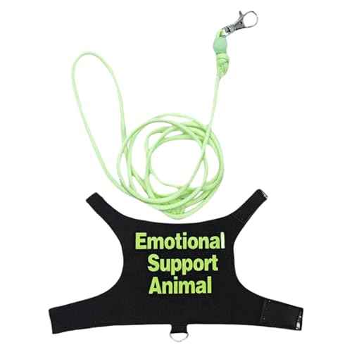 Wdbild Regulierbare Eidechsengärten Set Freien Leinen Bunte Haustiergurte Für Gehen Freien Kleine Reptilien Haustier Reptilienausrüstung Wdbild Regulierbare Eidechsengärten Set Freien Leinen Bunte Haustiergurte Für Gehen Freien Kleine Reptilien Haustier Reptilienausrüstung von Wdbild