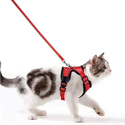 Katzengeschirr mit Leine Ausbruchsicher Katzenleine Set Verstellbar weich Kätzchenweste mit Reflektierenden Streifen Brustgeschirr für kleine Kitten (Rot, S) Katzengeschirr mit Leine Ausbruchsicher Katzenleine Set Verstellbar weich Kätzchenweste mit Reflektierenden Streifen Brustgeschirr für kleine Kitten (Rot, S) von Wdmiya