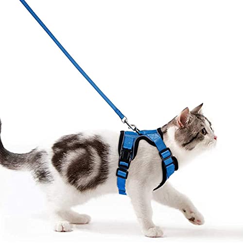 Katzengeschirr mit Leine Ausbruchsicher Katzenleine Set Verstellbar weich Kätzchenweste mit Reflektierenden Streifen Brustgeschirr für kleine Kitten (Blau, S) Katzengeschirr mit Leine Ausbruchsicher Katzenleine Set Verstellbar weich Kätzchenweste mit Reflektierenden Streifen Brustgeschirr für kleine Kitten (Blau, S) von Wdmiya