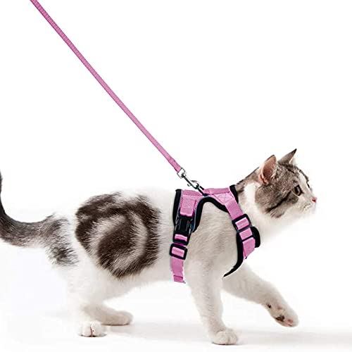 Katzengeschirr mit Leine Ausbruchsicher Katzenleine Set Verstellbar weich Kätzchenweste mit Reflektierenden Streifen Brustgeschirr für kleine Kitten (Rosa, XS) Katzengeschirr mit Leine Ausbruchsicher Katzenleine Set Verstellbar weich Kätzchenweste mit Reflektierenden Streifen Brustgeschirr für kleine Kitten (Rosa, XS) von Wdmiya