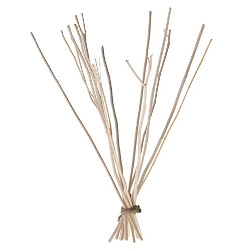 We Love The Planet - We Love The Planet Kajute Large Sticks for 200ml Diffuser - 1 Count von We Love the Planet