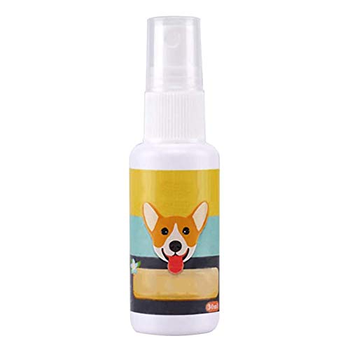 WeBetter Hundetöpfchen-Trainingsspray, Haustier-Toiletten-Trainingshilfespray Sicheres Haustier-Töpfchen-Trainingshilfsmittel Hundetoiletten-Trainingsspray-Induktor, Welpentraining-Spray Hundekatze von WeBetter