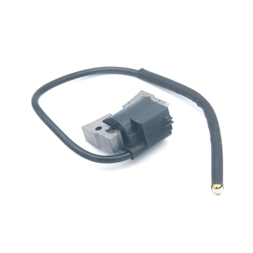 21121-2067 Zündspule Passend for GE4000A GE4300A GE4500A FE250D FE290D FE350D FE350G GER30A GE5000A GEF00A von WeZcHEN