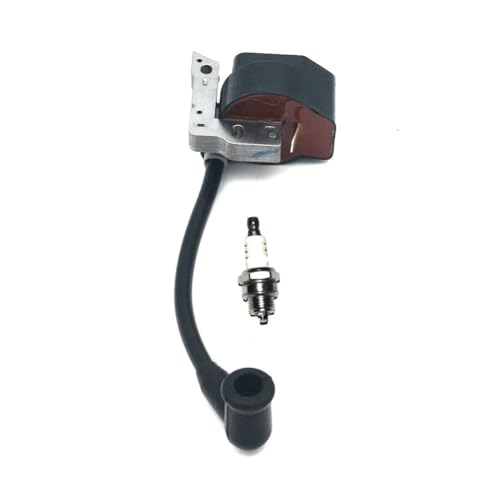 Passend for Zündspule Zündkerze BM6A PS2 PS3 PS34 PS36 PS45 DCS34 DCS4610 Teile Nr. 036143121 036143120 036143020 136140010 von WeZcHEN
