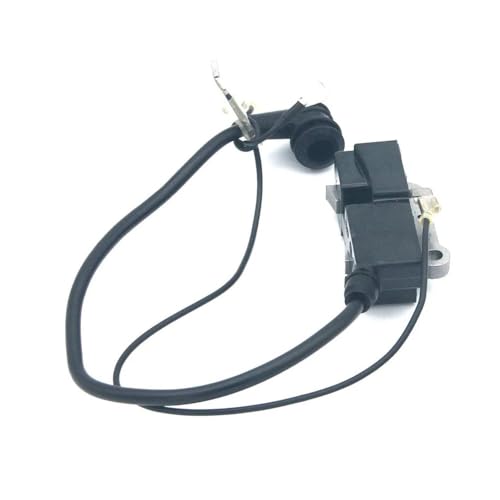 Zündmodul passend for CS2186 CS2188 CS2255 GZ7000 537162101 537162105 537162104 503962402 503779002 503962404 von WeZcHEN