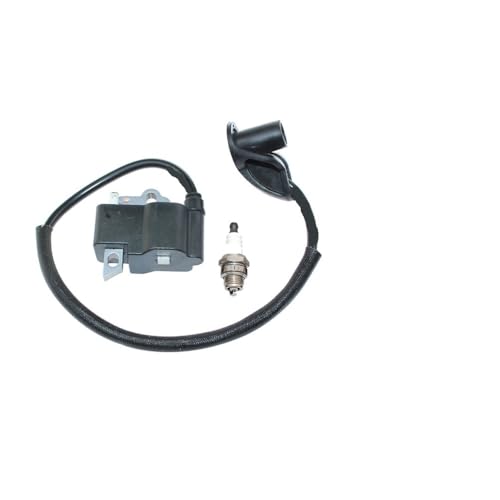 Zündspule Modul BM6A Zündkerze Fit for FS120 FS120R FS200 FS250 FS300 FS350 BT120C BT121 FR35 String Trimmer 41344001301 Zündspule Modul BM6A Zündkerze Fit for FS120 FS120R FS200 FS250 FS300 FS350 BT120C BT121 FR35 String Trimmer 41344001301 von WeZcHEN