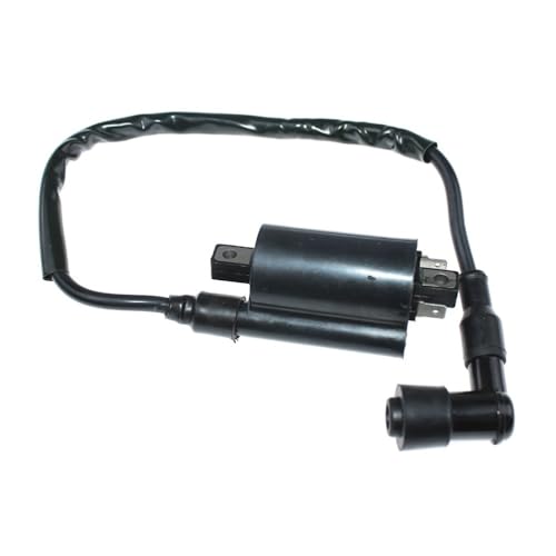 Zündspule Modul Fit for 250R EX250 1988-2007 2000 VN2000 2006-2009 21121-0013 21121-0014 von WeZcHEN