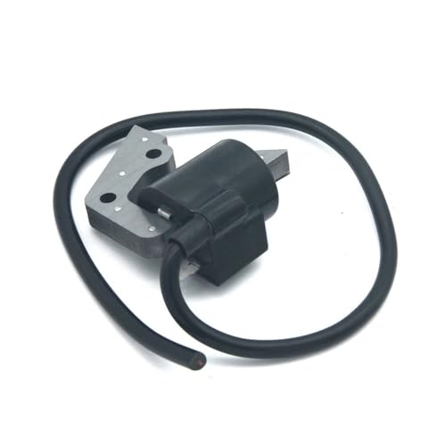 Zündspule Modul Fit for FA210 FA210D FA210R Motor Motor Magneto Ersatz von WeZcHEN