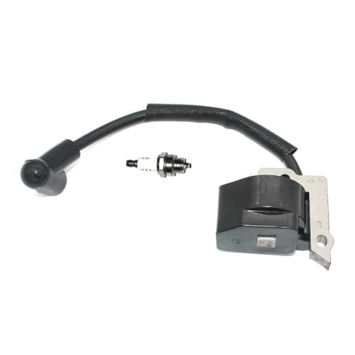Zündspule Modul Zündkerze Fit for LT-30 MS-30 MS-31 DST300 DBC300 BrushCutter Trimmer Unkraut Zündspule Modul Zündkerze Fit for LT-30 MS-30 MS-31 DST300 DBC300 BrushCutter Trimmer Unkraut von WeZcHEN