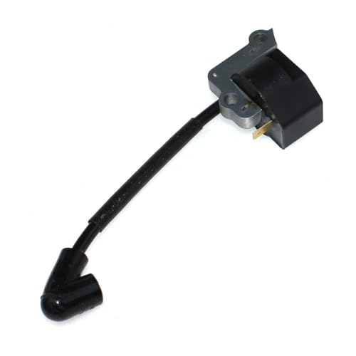 Zündspule passend for BC530 BC550 BCF530 8750 8753 DS5300 DS5500 4196142r 61110153ar von WeZcHEN