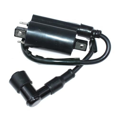Zündspulenmodul passend for 240 260 265 285 320 325 335 345 425 445 2243 2500 2500A 2500B 2500E 2653 GX345 LX176 LX178 Zündspulenmodul passend for 240 260 265 285 320 325 335 345 425 445 2243 2500 2500A 2500B 2500E 2653 GX345 LX176 LX178 von WeZcHEN