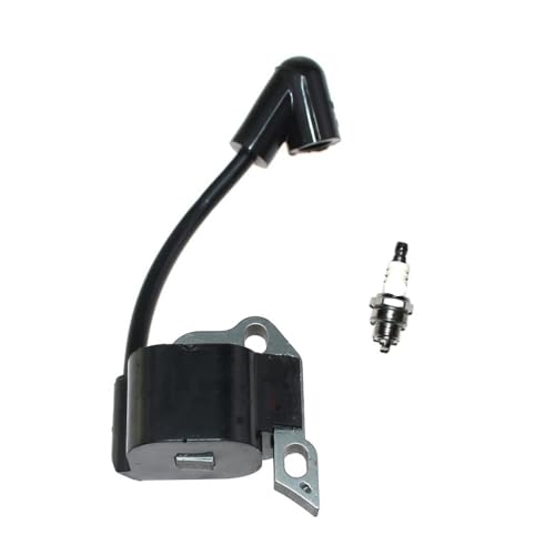 Zündspulenmodul passend for RY10519A RY10519B RY10520 RY10521 RY10521A 309261001 309261003 309261004 von WeZcHEN