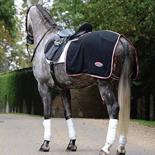 Weatherbeeta Therapie-Tec Fleece Viertelblatt Schwarz/Silber/Rot Weatherbeeta Therapie-Tec Fleece Viertelblatt Schwarz/Silber/Rot von Weatherbeeta