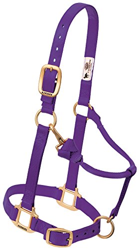 Weaver Leather 35-7035-PU 2,5 cm Purp ADJ Halfter mit Schnappverschluss von Weaver Leather