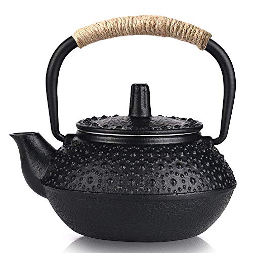 Webao Teekanne aus Gusseisen Traditionelle Eisen-Kanne Tea for ONE Teekanne Japanischer Stil inkl 300ml von Webao