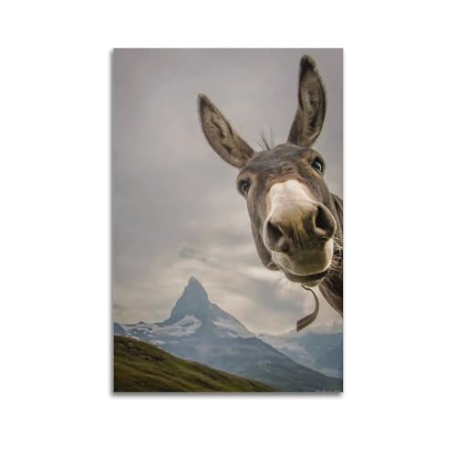 Kunstdruck auf Leinwand, Motiv: "A Stupid Donkey", 50 x 75 cm, ungerahmt von WebeRt