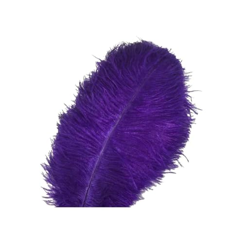 Straußenfedern für Hochzeitsdekoration, Federn für Blumenarrangements, mehrfarbige Federn für Hochzeit, Party und Heimdekoration, 30–35 cm, 10 Stück Straußenfedern für Hochzeitsdekoration, Federn für Blumenarrangements, mehrfarbige Federn für Hochzeit, Party und Heimdekoration, 30–35 cm, 10 Stück von Webelkart