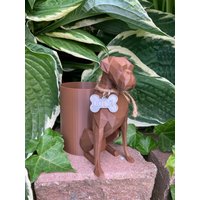 Boxer Übertopf von WebsterPrints