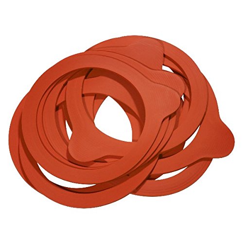 100 x WECK-Gummiring RR80 von Weck