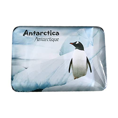 3D Antarktis Pengu Kühlschrank Kühlschrankmagnet Kristall Glas Magnet Handmade Tourist Travel Souvenir Sammlung Geschenk Whiteboard Magnetic Sticker Home Decoration von Wedare Magnet Souvenir