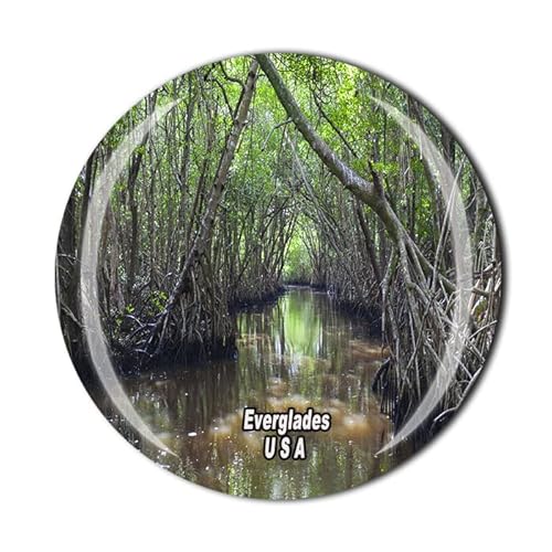 Everglades USA 3D Kühlschrankmagnet Glas Kristall Reise Souvenir Sammlung Geschenk Küche Haus Dekoration Magnet Aufkleber von Wedarego