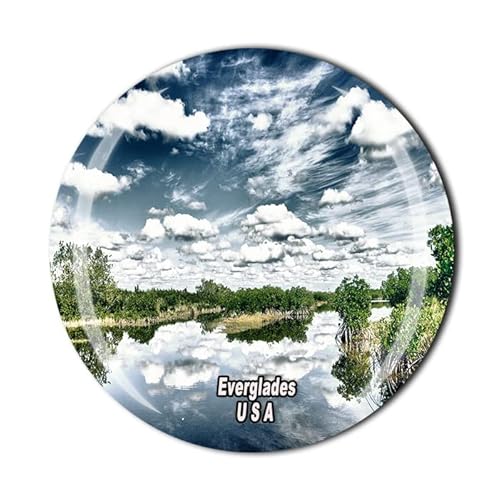 Everglades USA 3D Kühlschrankmagnet Glas Kristall Reise Souvenir Sammlung Geschenk Küche Haus Dekoration Magnet Aufkleber von Wedarego