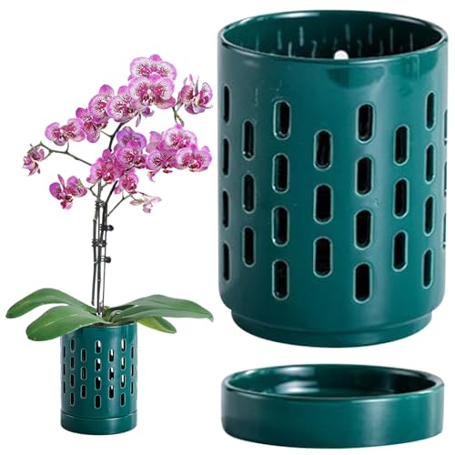 Hohlorchidee Töpfe mit Löchern & Untertassen 4 Zoll kleiner Keramik -Orchideen -Topf Effektiver Entwässerung und Lüftungs Orchideen -Pflanzer für Innen-/Außengrün -Grünen Keramik Orchid -Topf -Orchid von Wedhapy