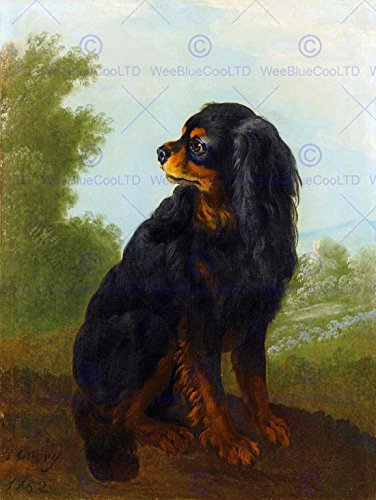 Wee Blue Coo PAINTING ANIMAL PORTRAIT OUDRY CAVALIER KING CHARLES SPANIEL ART PRINT HP1491 von Wee Blue Coo