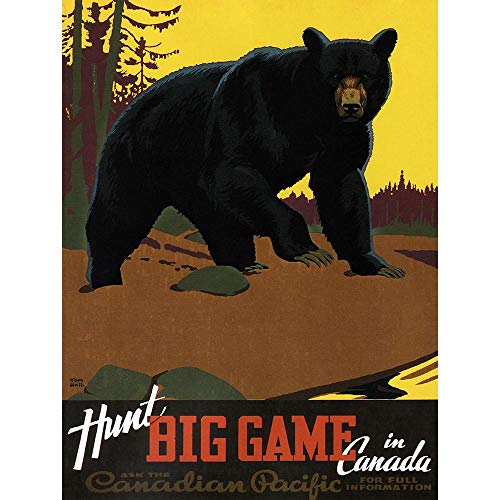Wee Blue Coo LTD Travel Bear Hunting Canadian Pacific Canada Vintage Art Print Poster Wall Decor Kunstdruck Poster Wand-Dekor-12X16 Zoll von Wee Blue Coo LTD