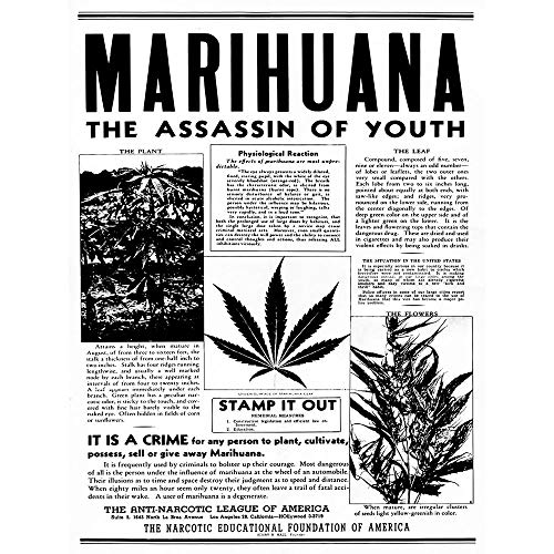 Wee Blue Coo LTD Advertising Drug Awareness Warning Marijuana Weed Cannabis Panic USA Art Print Poster Wall Decor Kunstdruck Poster Wand-Dekor-12X16 Zoll von Wee Blue Coo