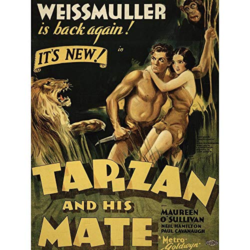 Advertising Movie Film Tarzan Mate Jane Weissmuller Jungle Lion Art Print Poster Wall Decor Kunstdruck Poster Wand-Dekor-12X16 Zoll von Wee Blue Coo