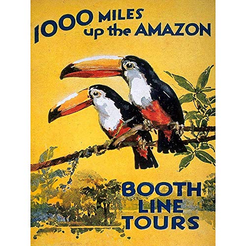 Wee Blue Coo LTD Amazon Toucan River Brazil South America Jungle Rain Forest Vintage Art Print Poster Wall Decor Kunstdruck Poster Wand-Dekor-12X16 Zoll von Wee Blue Coo LTD