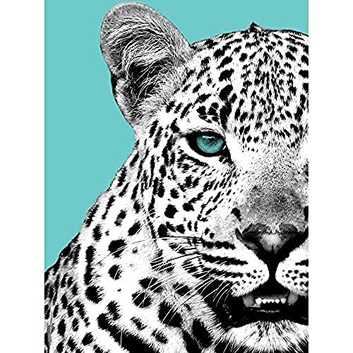 Close up Beasties Leopard Unframed Art Print Poster Wall Decor 12x16 inch Wand Deko von Wee Blue Coo