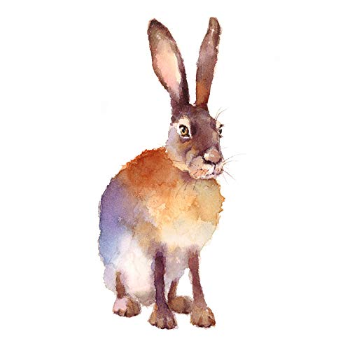 Hare Watercolour Isolated Unframed Art Print Poster Wall Decor 12x16 inch Aquarell Wand Deko von Wee Blue Coo