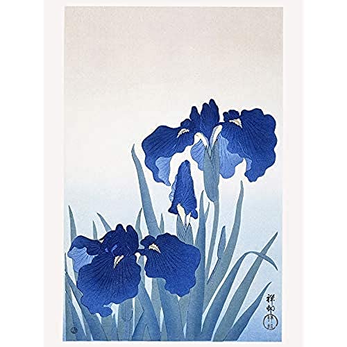 Iris Flowers Ohara Koson Art Print Canvas Premium Wall Decor Poster Blumen Wand Deko Iris Flowers Ohara Koson Art Print Canvas Premium Wall Decor Poster Blumen Wand Deko von Wee Blue Coo