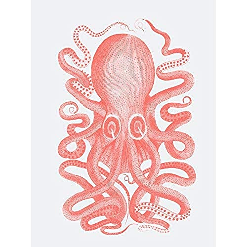 Living Coral Octopus Unframed Art Print Poster Wall Decor 12x16 inch Wand Deko von Wee Blue Coo