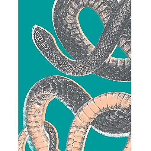 Snake Illustration Modern Biodiversity Unframed Art Print Poster Wall Decor 12x16 inch Wand Deko von Wee Blue Coo