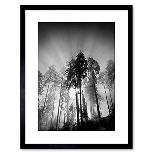 Wee Blue Coo 9x7 '' TREES LIGHT FOG BLACK WHITE FRAMED ART PRINT PICTURE MOUNT PHOTO F97X1561 Wee Blue Coo 9x7 '' TREES LIGHT FOG BLACK WHITE FRAMED ART PRINT PICTURE MOUNT PHOTO F97X1561 von Wee Blue Coo