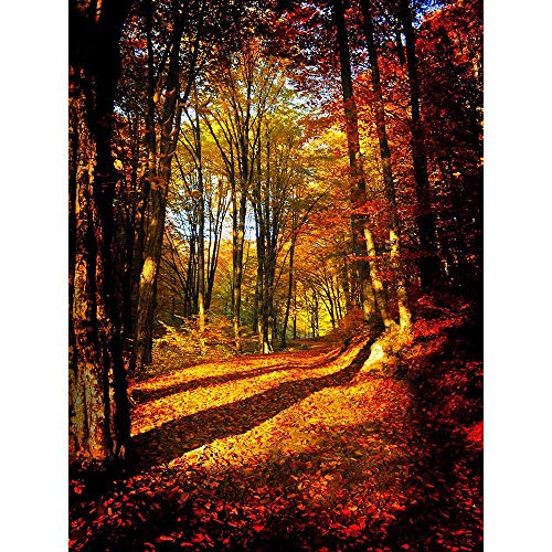 Wee Blue Coo Autumn Forest Sun Orange Art Print Poster Wall Decor Kunstdruck Poster Wand-Dekor-12X16 Zoll von Wee Blue Coo