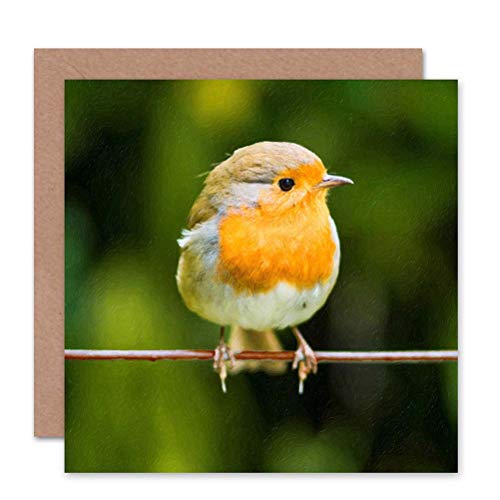 Wee Blue Coo Fröhliches Rotkehlchen Mit Roter Brust, Süß Weihnachtskarte von Wee Blue Coo