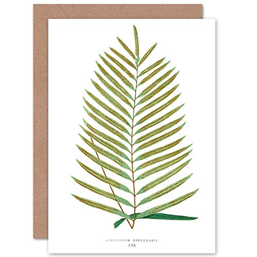 Wee Blue Coo Fern Polypodium Hemchmanii Greeting Card With Envelope Inside Premium Quality von Wee Blue Coo